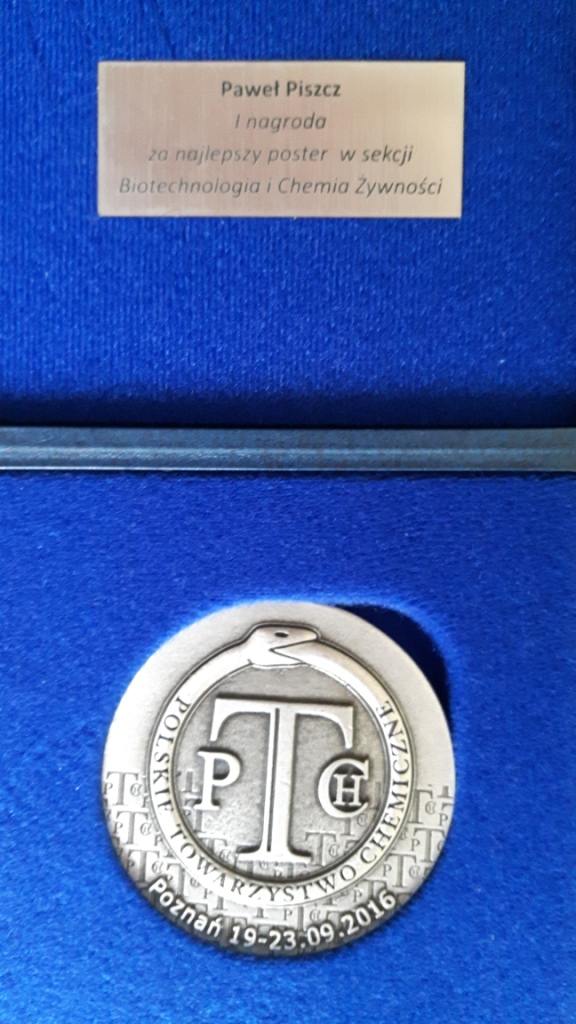 medal dla Pawła Piszcza strona 2
